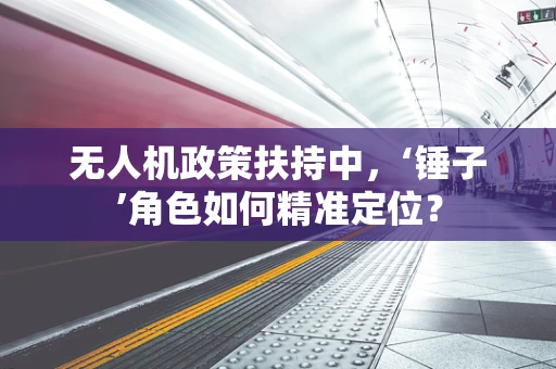 无人机政策扶持中，‘锤子’角色如何精准定位？