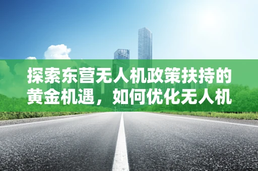 探索东营无人机政策扶持的黄金机遇，如何优化无人机产业园区建设？