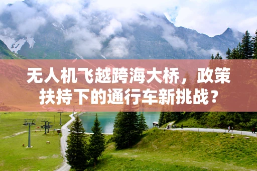 无人机飞越跨海大桥，政策扶持下的通行车新挑战？