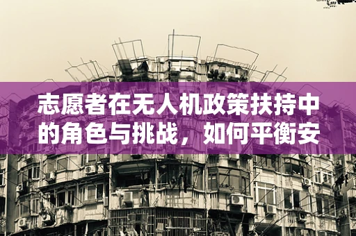 志愿者在无人机政策扶持中的角色与挑战，如何平衡安全与参与？