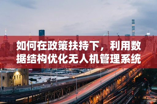 如何在政策扶持下，利用数据结构优化无人机管理系统的效能？