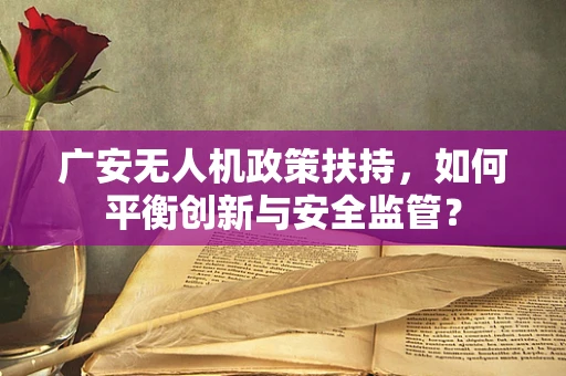 广安无人机政策扶持，如何平衡创新与安全监管？