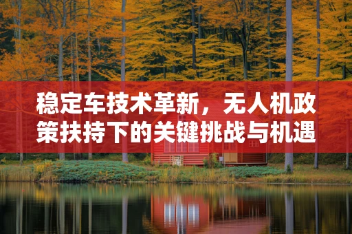 稳定车技术革新，无人机政策扶持下的关键挑战与机遇？