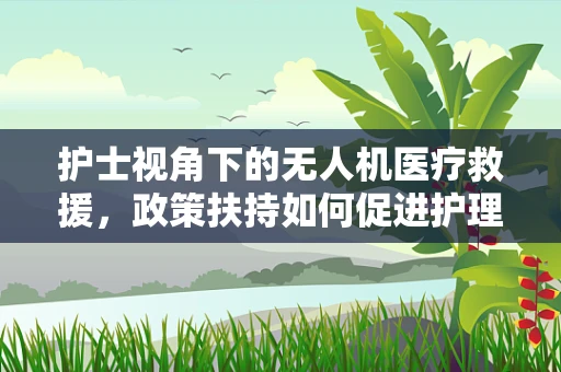 护士视角下的无人机医疗救援，政策扶持如何促进护理人员在紧急救援中的角色？