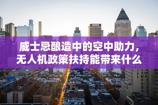 威士忌酿造中的空中助力，无人机政策扶持能带来什么新机遇？