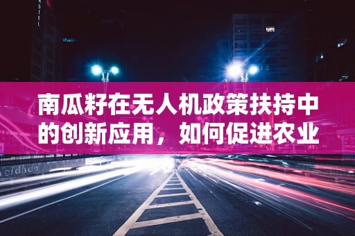 南瓜籽在无人机政策扶持中的创新应用，如何促进农业无人机技术普及？