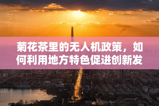 菊花茶里的无人机政策，如何利用地方特色促进创新发展？