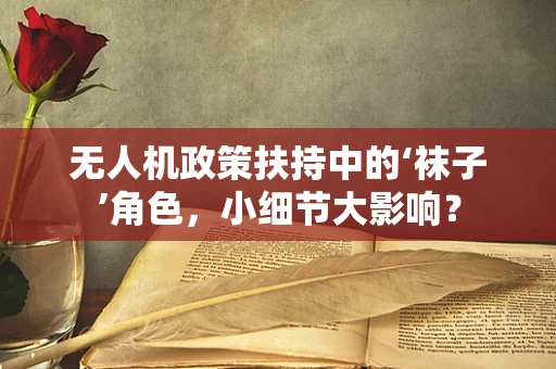 无人机政策扶持中的‘袜子’角色，小细节大影响？