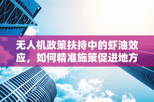 无人机政策扶持中的虾油效应，如何精准施策促进地方经济发展？