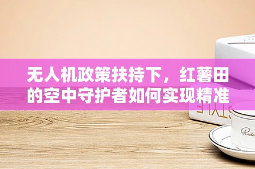 无人机政策扶持下，红薯田的空中守护者如何实现精准喷洒？