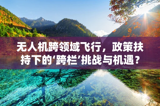无人机跨领域飞行，政策扶持下的‘跨栏’挑战与机遇？