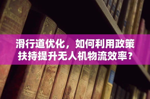 滑行道优化，如何利用政策扶持提升无人机物流效率？