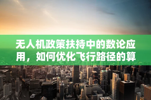 无人机政策扶持中的数论应用，如何优化飞行路径的算法效率？