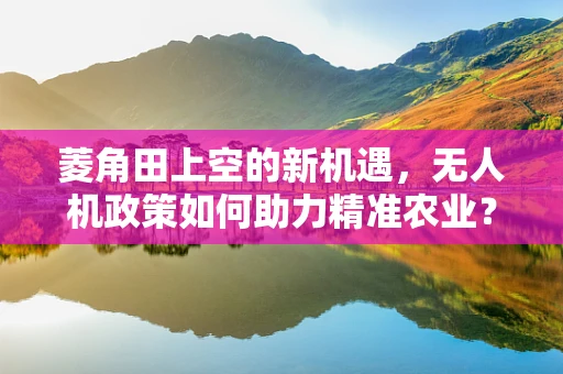 菱角田上空的新机遇，无人机政策如何助力精准农业？