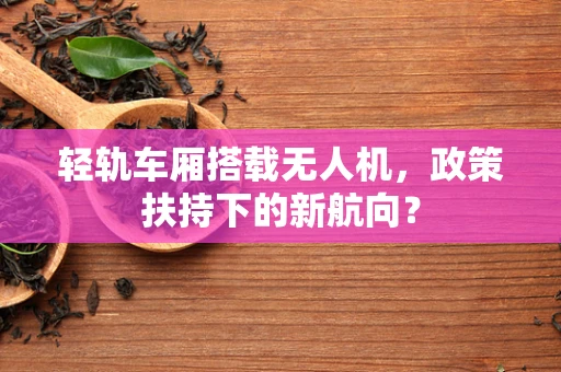 轻轨车厢搭载无人机，政策扶持下的新航向？