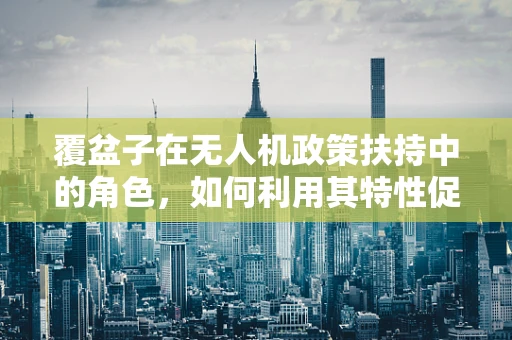 覆盆子在无人机政策扶持中的角色，如何利用其特性促进技术革新？