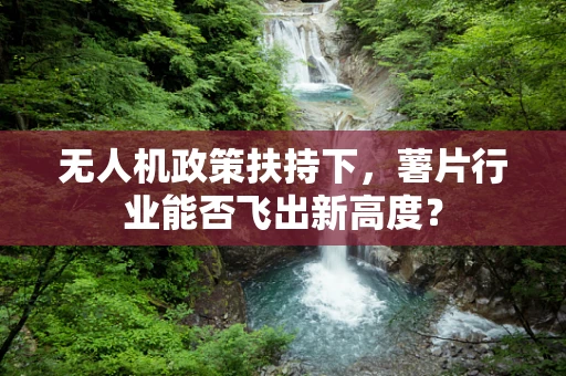 无人机政策扶持下，薯片行业能否飞出新高度？