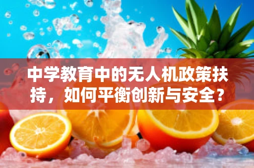 中学教育中的无人机政策扶持，如何平衡创新与安全？