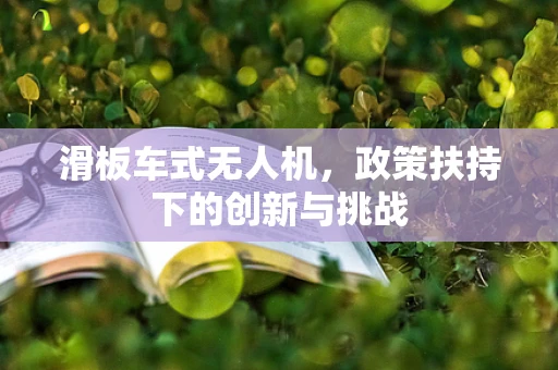 滑板车式无人机，政策扶持下的创新与挑战