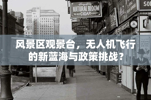 风景区观景台，无人机飞行的新蓝海与政策挑战？