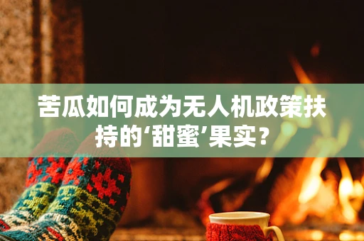 苦瓜如何成为无人机政策扶持的‘甜蜜’果实？