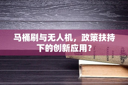 马桶刷与无人机，政策扶持下的创新应用？