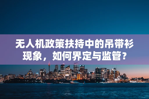 无人机政策扶持中的吊带衫现象，如何界定与监管？
