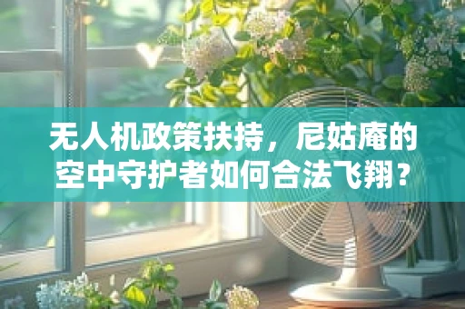 无人机政策扶持，尼姑庵的空中守护者如何合法飞翔？