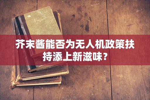 芥末酱能否为无人机政策扶持添上新滋味？
