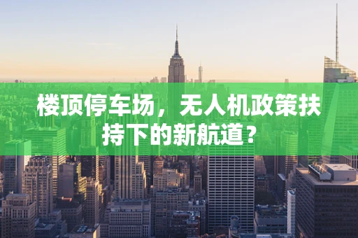 楼顶停车场，无人机政策扶持下的新航道？