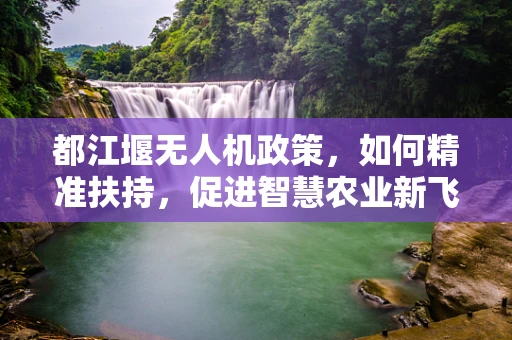 都江堰无人机政策，如何精准扶持，促进智慧农业新飞跃？