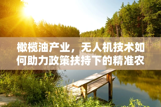 橄榄油产业，无人机技术如何助力政策扶持下的精准农业新篇章？