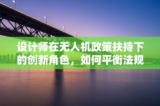 设计师在无人机政策扶持下的创新角色，如何平衡法规与创意？