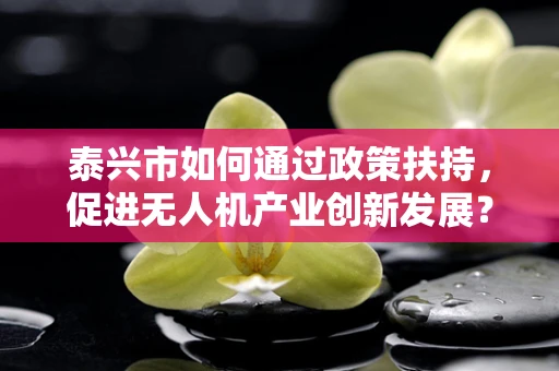 泰兴市如何通过政策扶持，促进无人机产业创新发展？