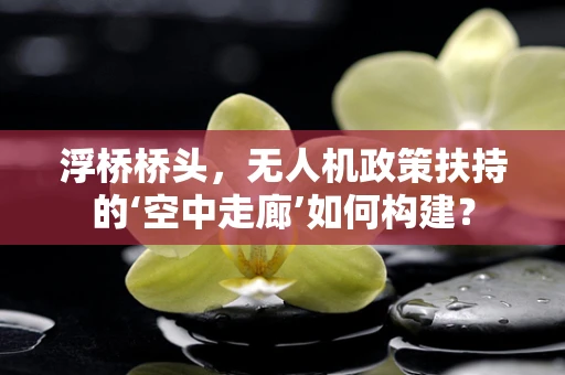 浮桥桥头，无人机政策扶持的‘空中走廊’如何构建？