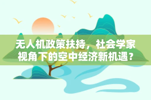 无人机政策扶持，社会学家视角下的空中经济新机遇？