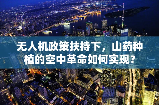 无人机政策扶持下，山药种植的空中革命如何实现？