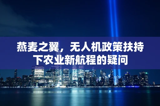 燕麦之翼，无人机政策扶持下农业新航程的疑问