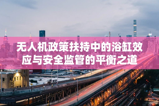 无人机政策扶持中的浴缸效应与安全监管的平衡之道