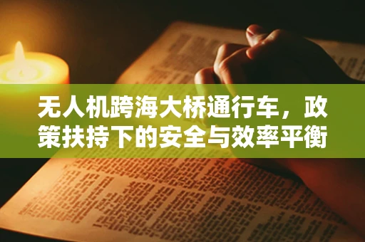 无人机跨海大桥通行车，政策扶持下的安全与效率平衡点何在？