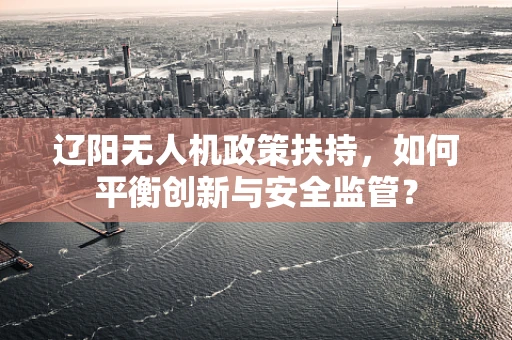 辽阳无人机政策扶持，如何平衡创新与安全监管？