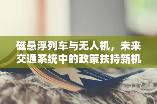 磁悬浮列车与无人机，未来交通系统中的政策扶持新机遇？