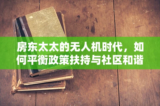房东太太的无人机时代，如何平衡政策扶持与社区和谐？