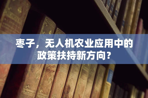 枣子，无人机农业应用中的政策扶持新方向？