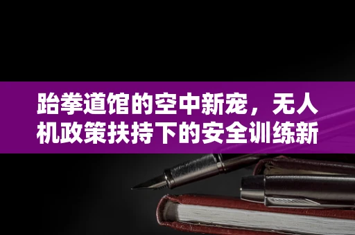 跆拳道馆的空中新宠，无人机政策扶持下的安全训练新篇章？