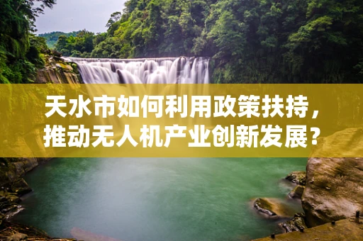 天水市如何利用政策扶持，推动无人机产业创新发展？