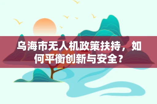 乌海市无人机政策扶持，如何平衡创新与安全？