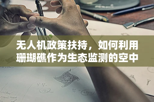 无人机政策扶持，如何利用珊瑚礁作为生态监测的空中哨兵？