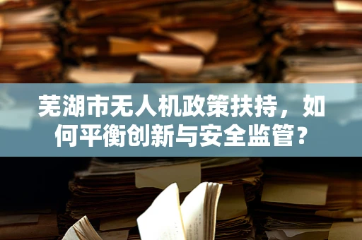 芜湖市无人机政策扶持，如何平衡创新与安全监管？