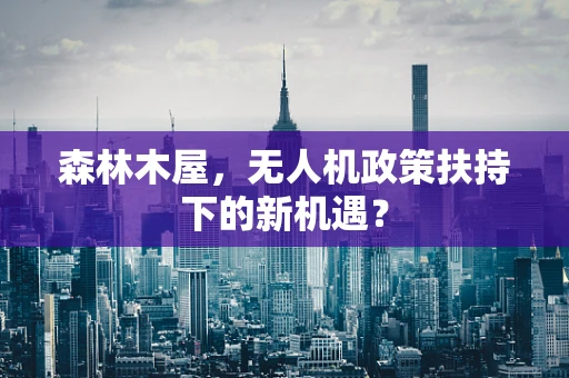 森林木屋，无人机政策扶持下的新机遇？